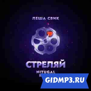 Обложка к песне Леша Свик - Стреляй (NitugaL Remix)