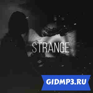 Обложка к песне Strange - Лябу люблю (Vrayd Remix)